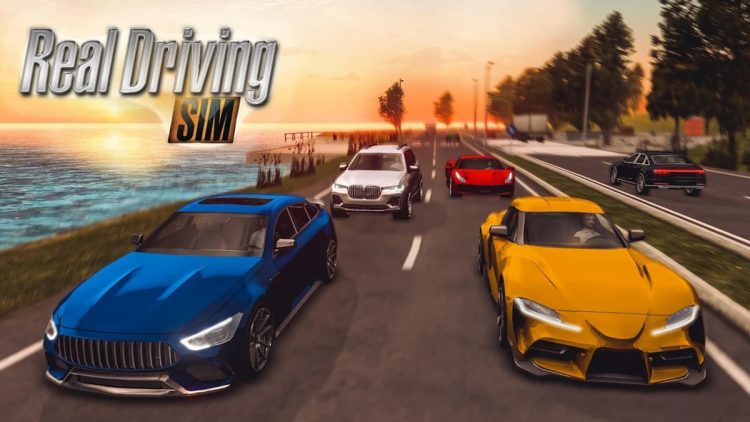 real driving sim mod apk 1 e1588915333720