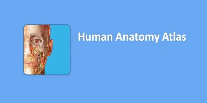 human anatomy atlas 1 1